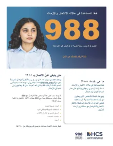 988 Flyer Arabian