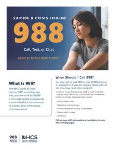 988 Flyer – Vietnamese/English